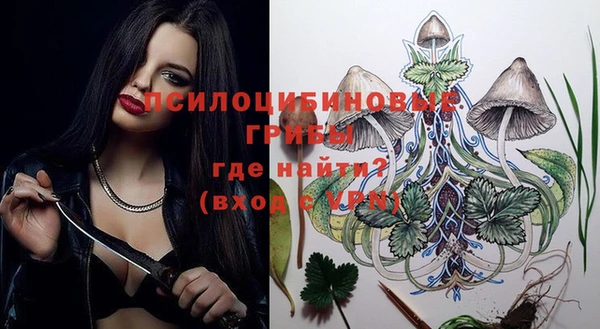 бошки Белокуриха