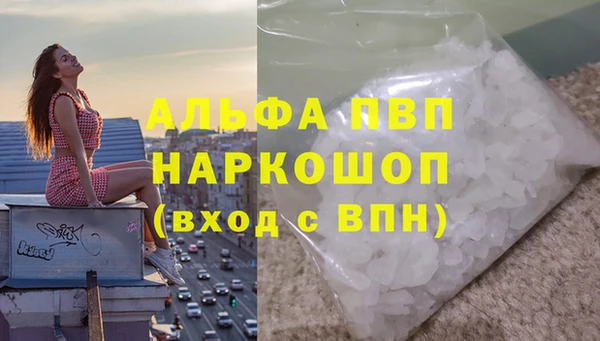 бошки Белокуриха