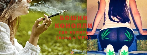 бошки Белокуриха