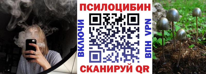 Галлюциногенные грибы Psilocybe  Богучар 